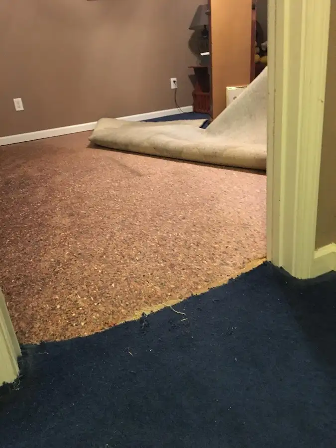 Carpet pad removal revealing water damage during Drying & Dehumidification in Kentfield